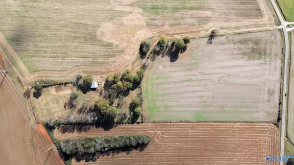 New Market, AL 35761,431 A Narrow Lane