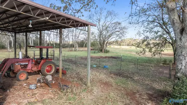 New Market, AL 35761,431 A Narrow Lane