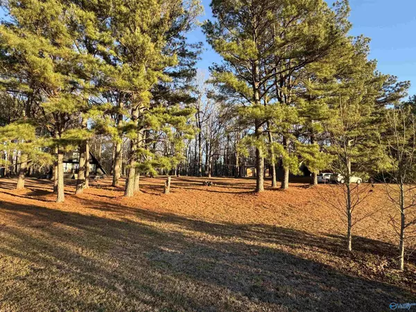 Albertville, AL 35951,6288 Mcville Rd