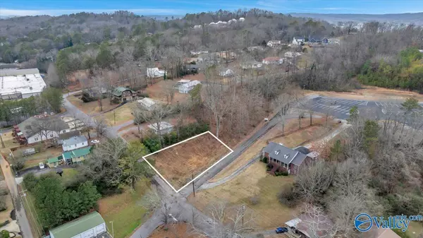 Guntersville, AL 35976,Lot 18 and 19 Obrig Avenue