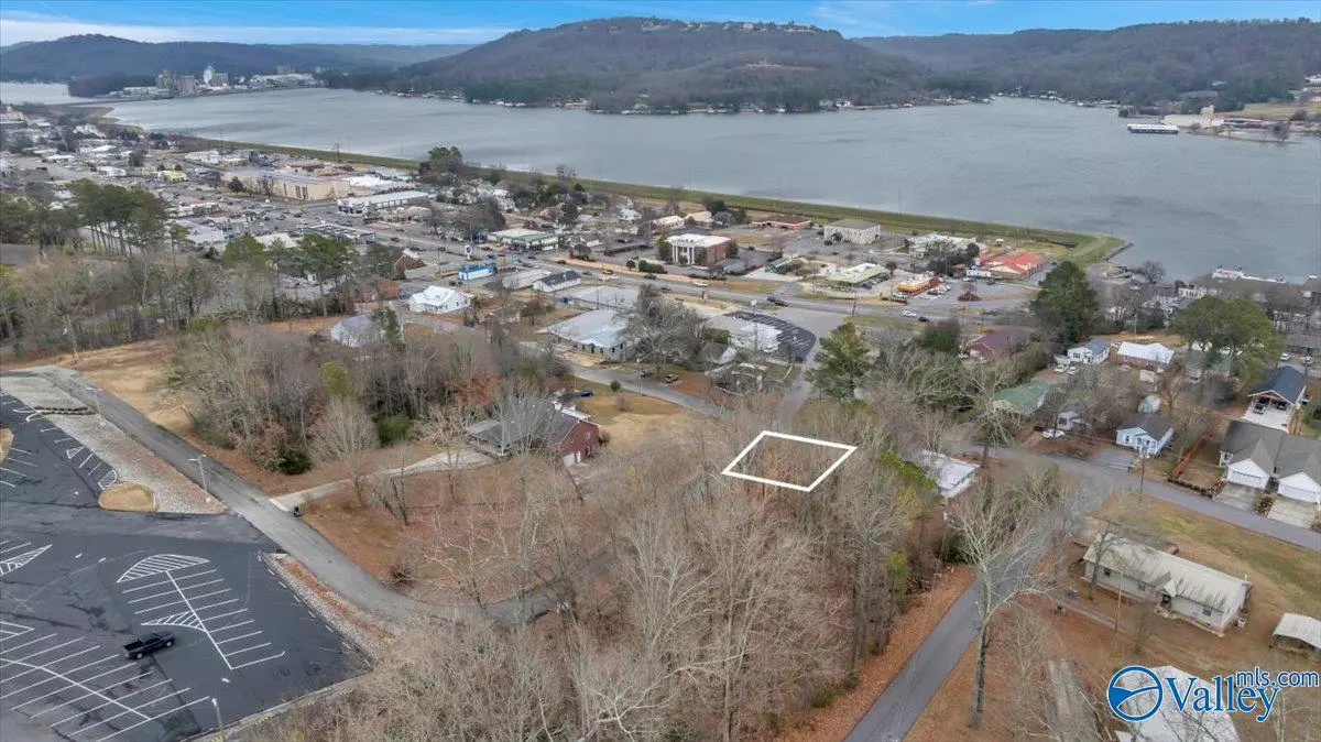Guntersville, AL 35976,Lot 18 and 19 Obrig Avenue