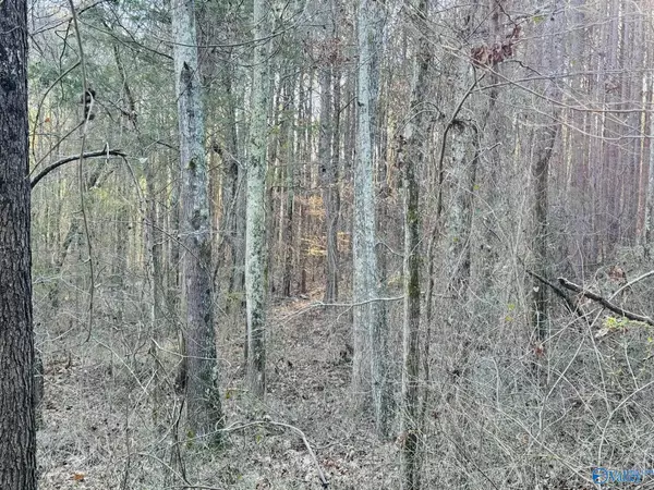 Langston, AL 35755,4.41 Acres South Sauty Road