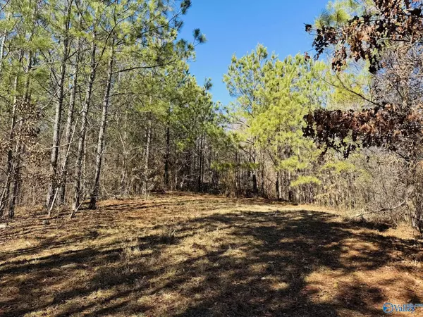 Langston, AL 35755,4.41 Acres South Sauty Road