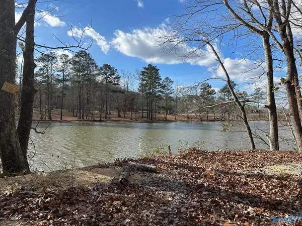 Rainbow City, AL 35906,4.45 Acres Riddles Bend Road