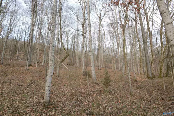 Stevenson, AL 35772,County Road 104 S County Road 104