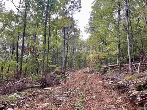 Stevenson, AL 35772,County Road 104 S County Road 104