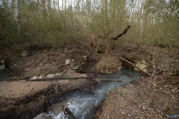 Stevenson, AL 35772,County Road 104 S County Road 104