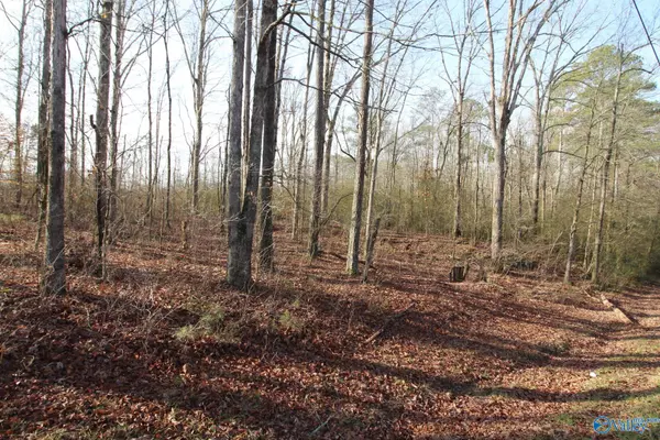 Boaz, AL 35957,12.16 ACRES Bruce Road