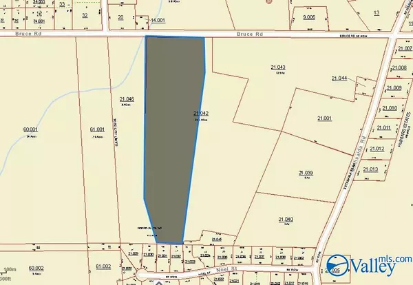 Boaz, AL 35957,12.16 ACRES Bruce Road