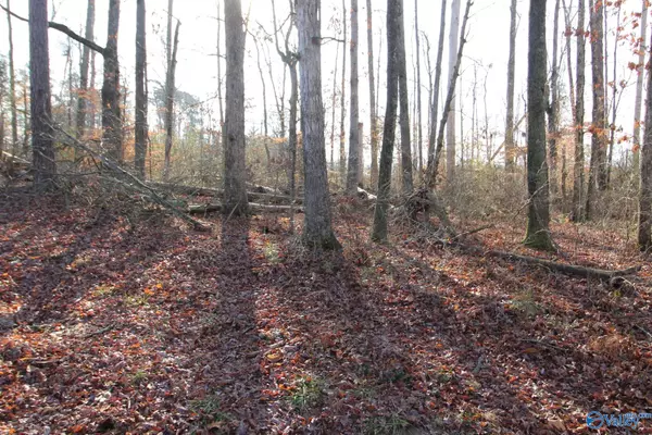 Boaz, AL 35957,12.16 ACRES Bruce Road