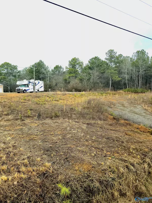 Crane Hill, AL 35053,4241 County Road 310