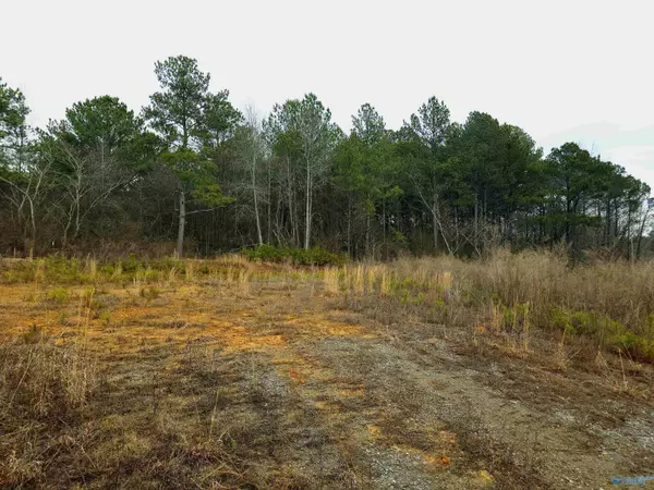 Crane Hill, AL 35053,4241 County Road 310