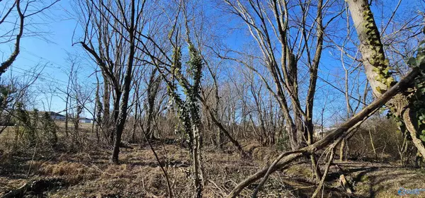 1 +/- Acre Alabama Highway 227, Geraldine, AL 35974