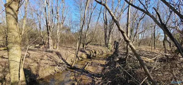 1 +/- Acre Alabama Highway 227, Geraldine, AL 35974