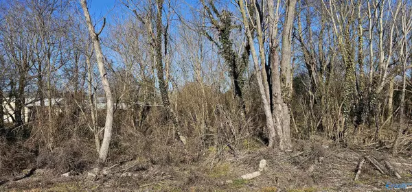 Geraldine, AL 35974,1 +/- Acre Alabama Highway 227