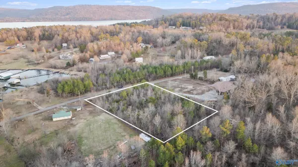 Langston, AL 35755,Lot 24 Menominee Road