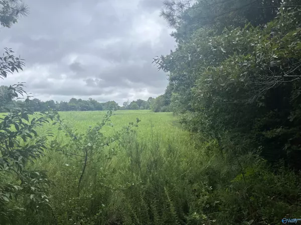 Pisgah, AL 35765,19 County Road 357