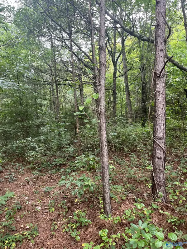 Pisgah, AL 35765,19 County Road 357