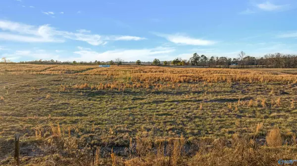 Fyffe, AL 35971,4321 County Road 429