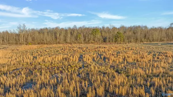 Fyffe, AL 35971,4321 County Road 429