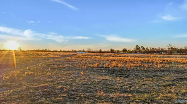 Fyffe, AL 35971,4321 County Road 429