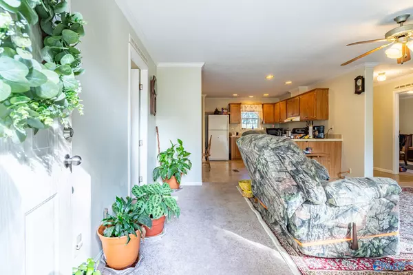 Gaylesville, AL 35973,185 County Road 962