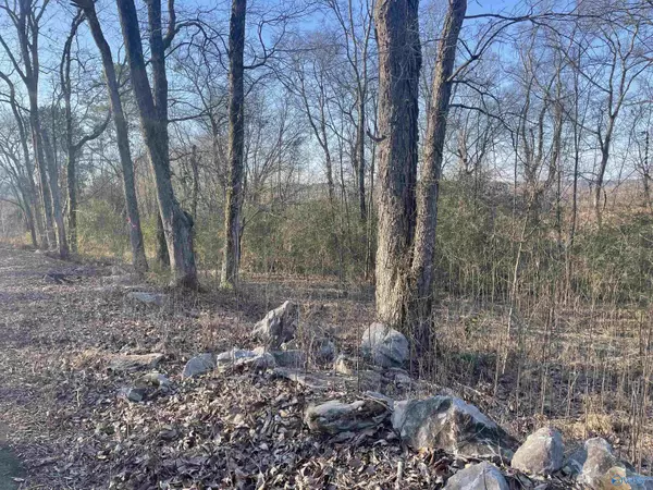 Huntsville, AL 35811,13-06-23-0-001 E Highway 72 East