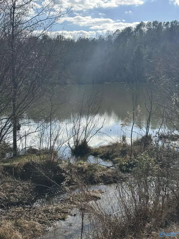 Empire, AL 35063,01 York Mountain Road