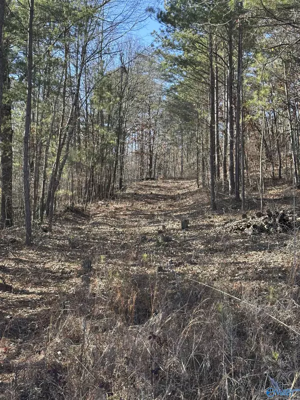 Empire, AL 35063,01 York Mountain Road