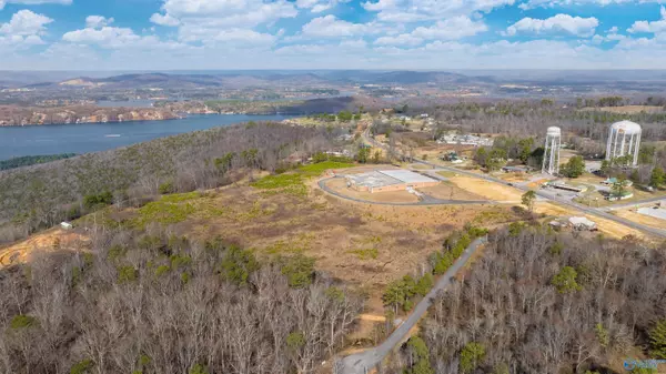 Section, AL 35771,5759 Tammy Little Drive