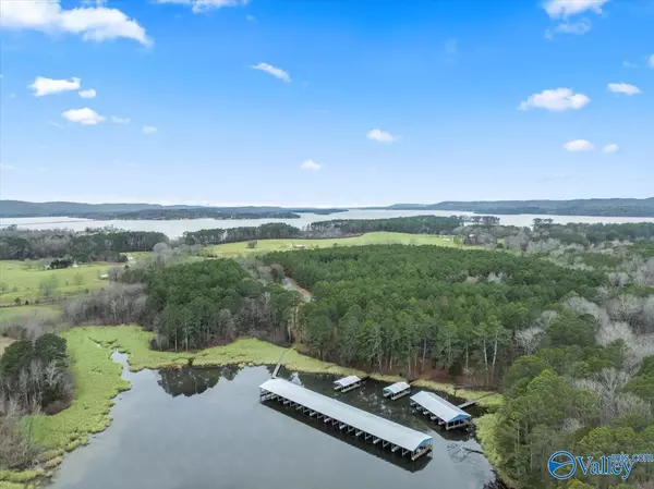 570 John Cabaniss Road, Langston, AL 35755