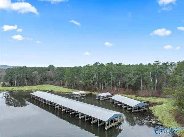 Langston, AL 35755,710 John Cabaniss Road