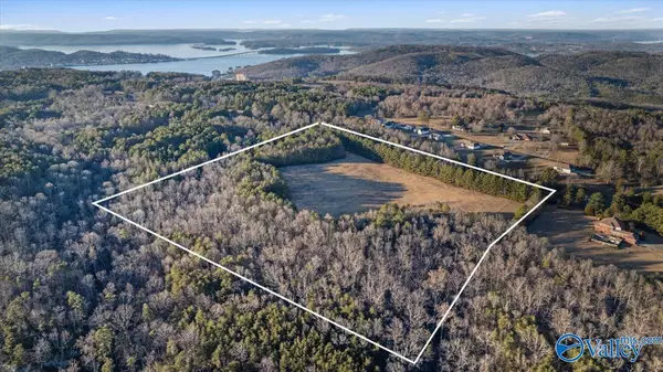 25 ACRES Winding Brook Drive, Guntersville, AL 35976
