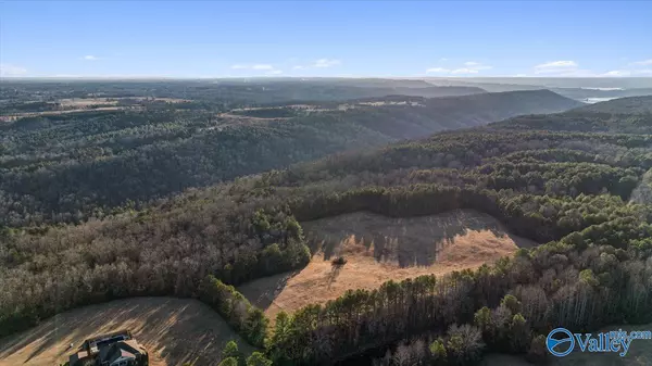 Guntersville, AL 35976,25 ACRES Winding Brook Drive