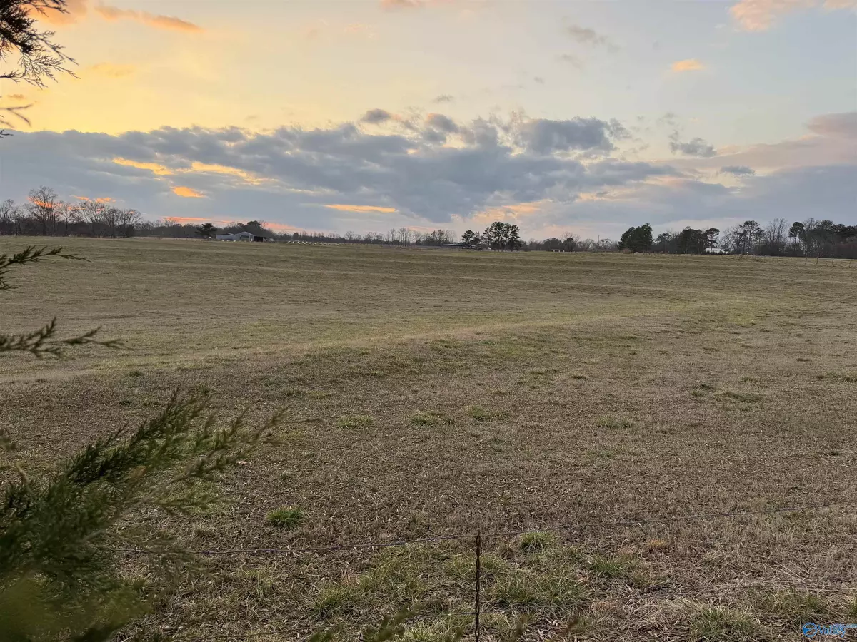 Horton, AL 35980,31 +/- Smith Drive