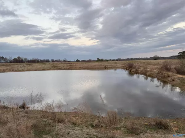 Horton, AL 35980,31 +/- Smith Drive