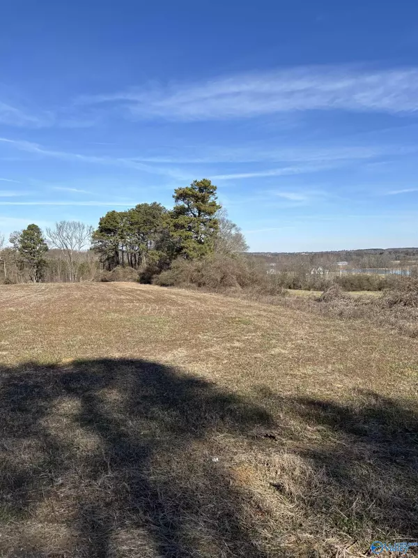 2 acres Blessing Road, Albertville, AL 35950