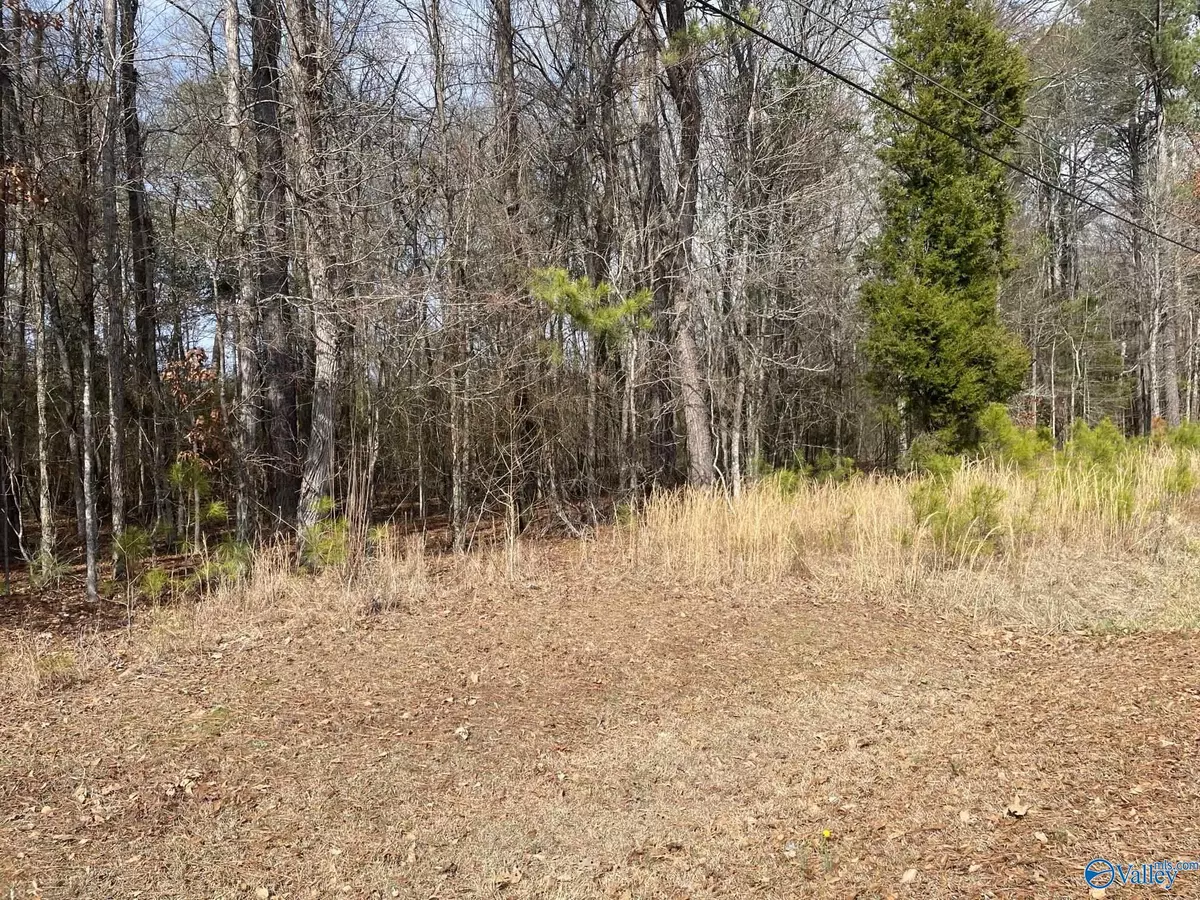 Rainbow City, AL 35906,Lot 4 Indian Lake Drive
