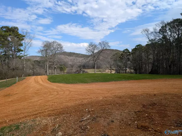 Attalla, AL 35954,8355 Duck Springs Road