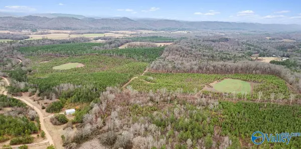 Collinsville, AL 35961,1 County Road 288