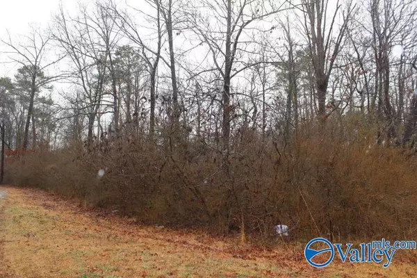 Fyffe, AL 35971,37835 Hwy 75