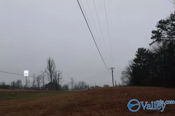 Fyffe, AL 35971,37835 Hwy 75