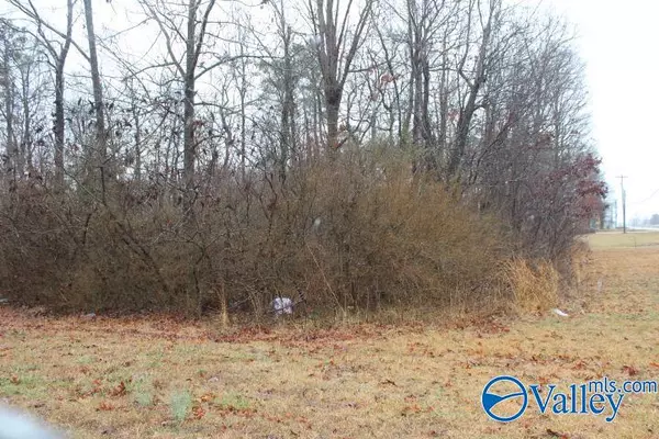 Fyffe, AL 35971,37835 Hwy 75