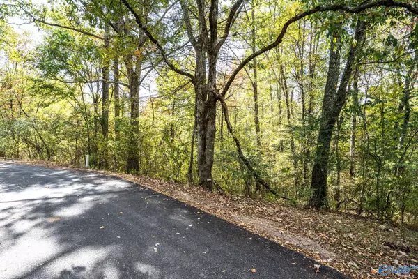 Scottsboro, AL 35769,63 Mccorkle Mountain Road