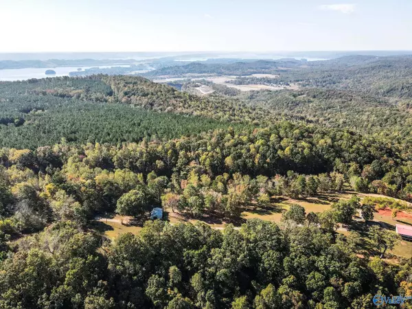 Scottsboro, AL 35769,63 Mccorkle Mountain Road