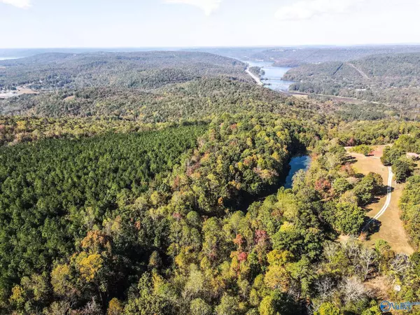 Scottsboro, AL 35769,63 Mccorkle Mountain Road