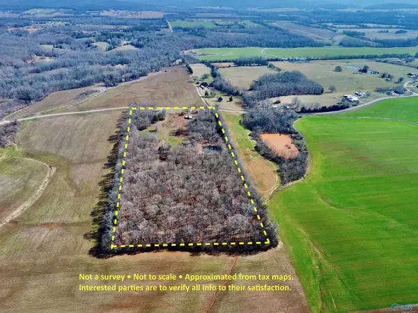 New Market, AL 35761,276 Mint Springs Road