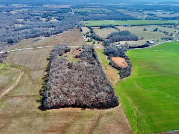 New Market, AL 35761,276 Mint Springs Road