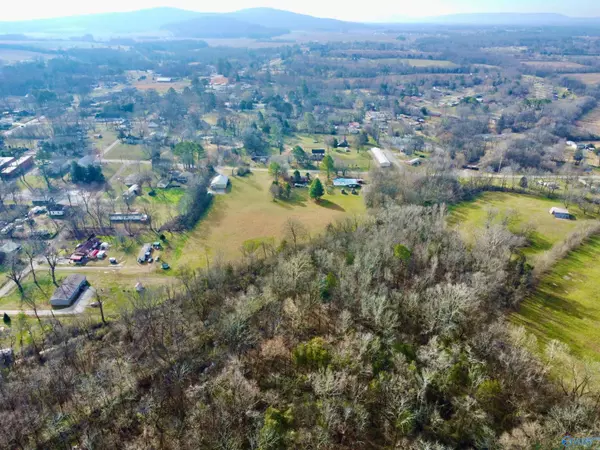 New Market, AL 35761,144 Depot Street