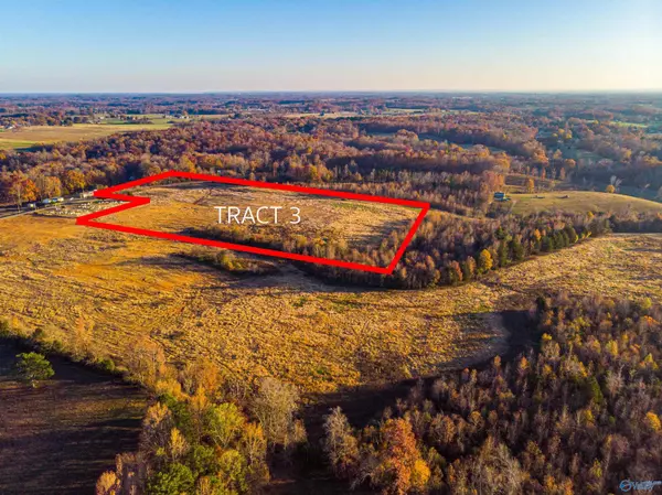 Lexington, AL 35648,Tract 3 County Road 35